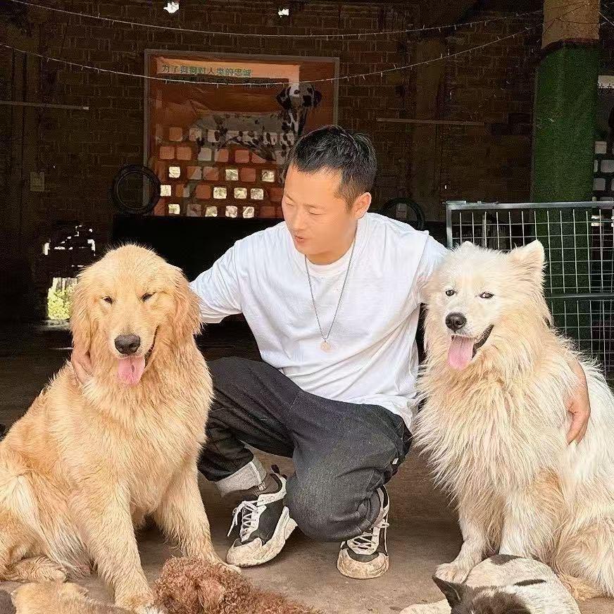 杨哥流浪狗小院