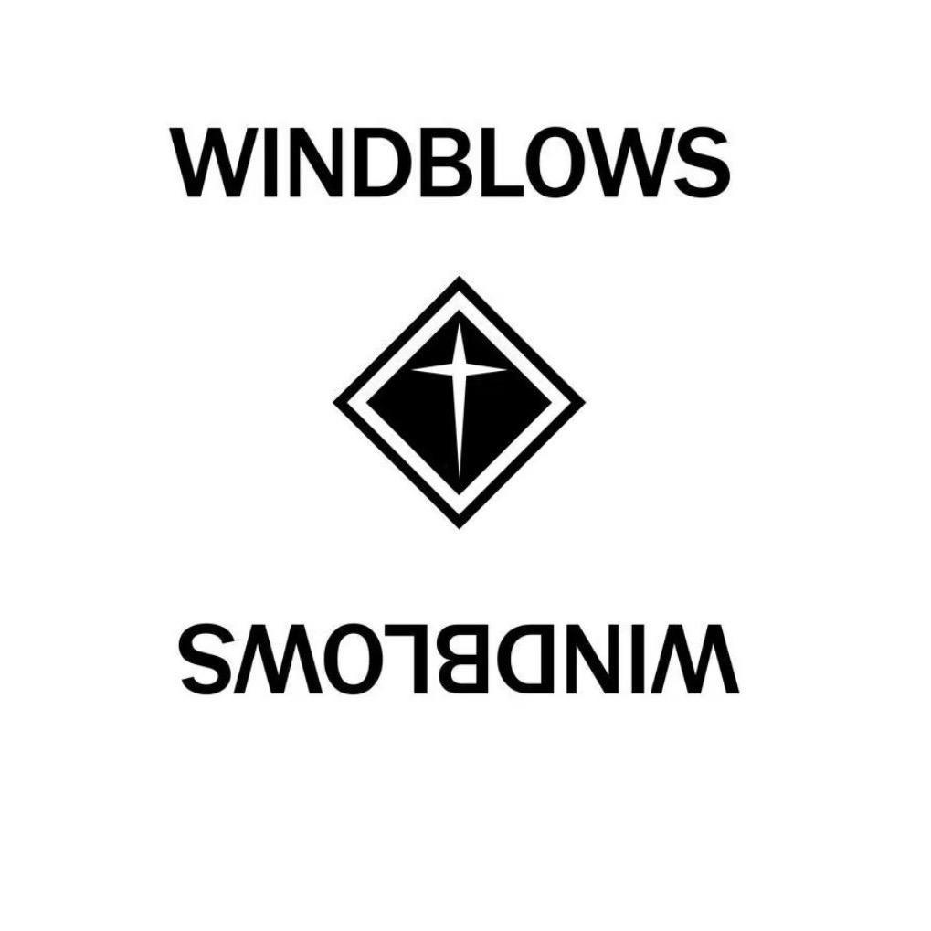 WINDBLOWS男装店