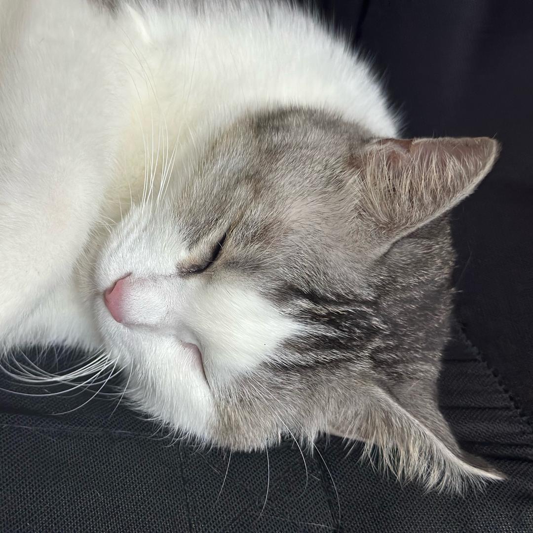 ❤️a