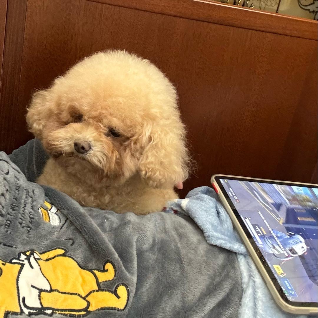 叫我小王吧
