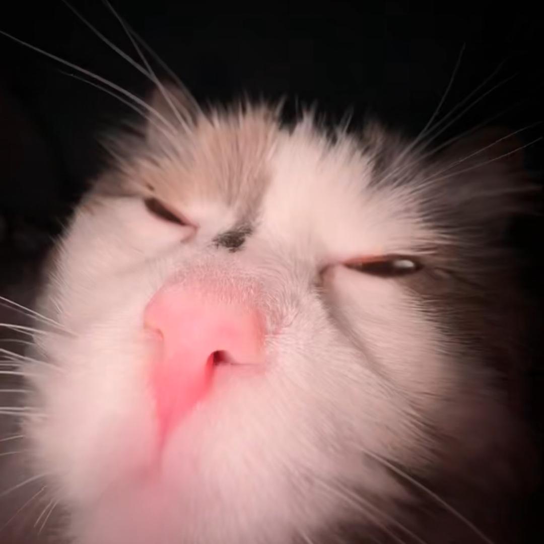 00000