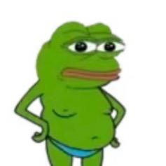 Vinted肥佬郑【各国移动IP】