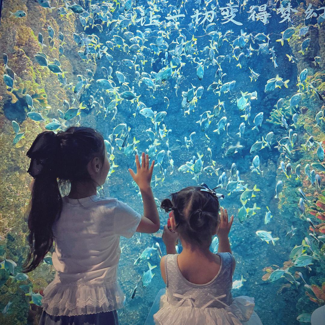 🌈桐桐妙妙成长记