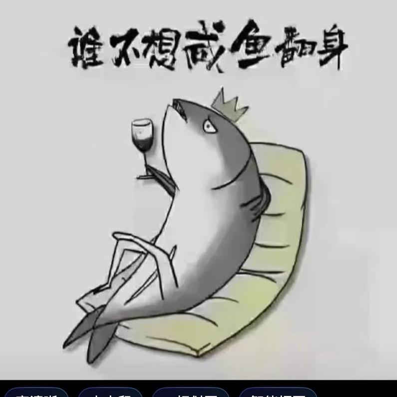 咸鱼翻身