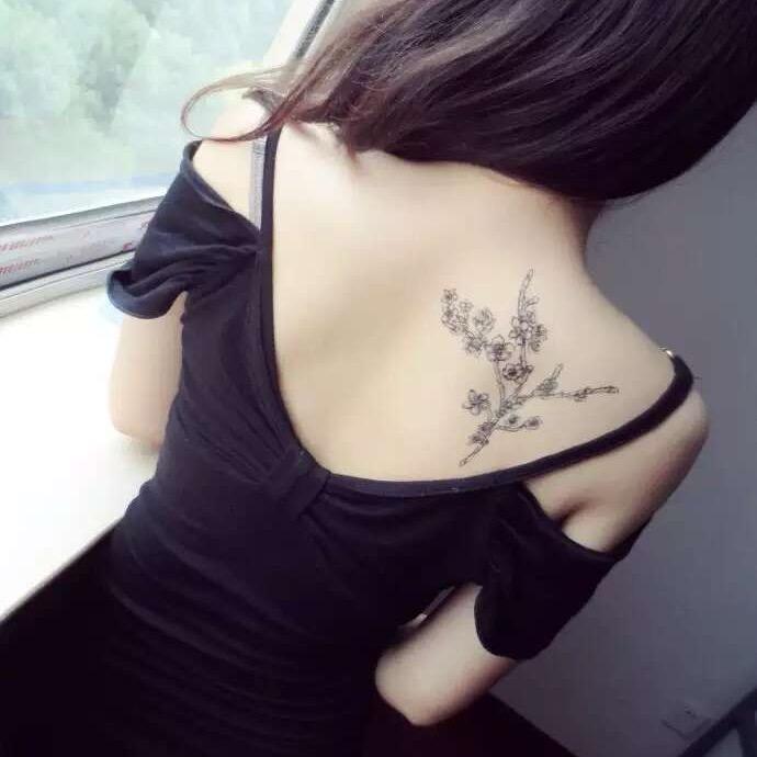 🍃一点点晚风🍂