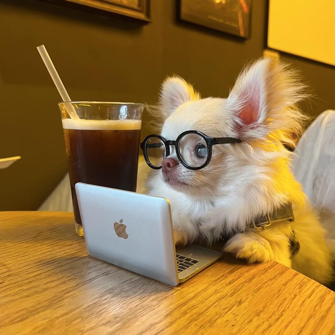 黄皮粟米条兔（见过菌版）