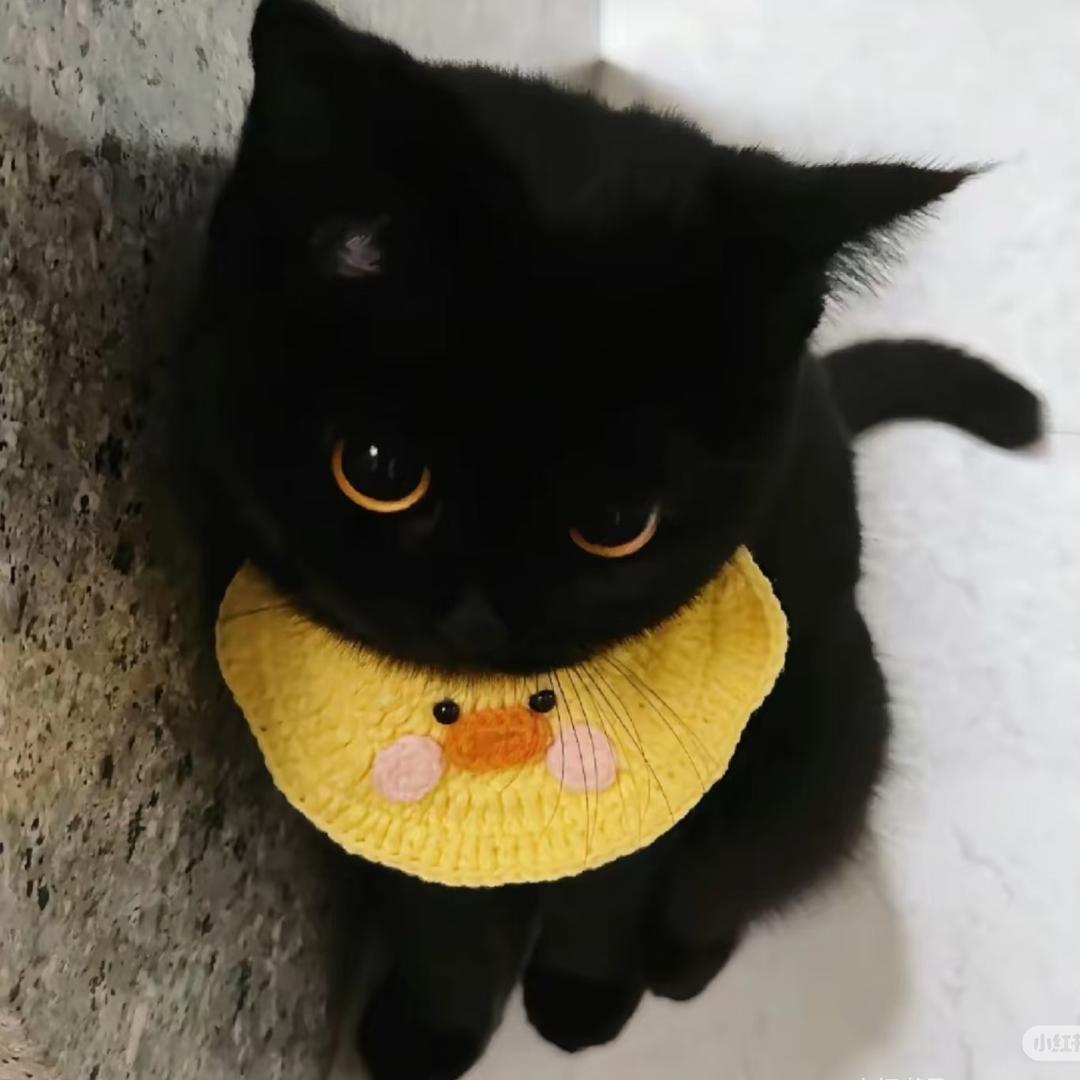 齁甜的辣椒🌶️