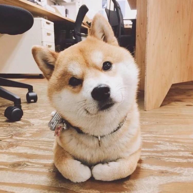 小高的小段