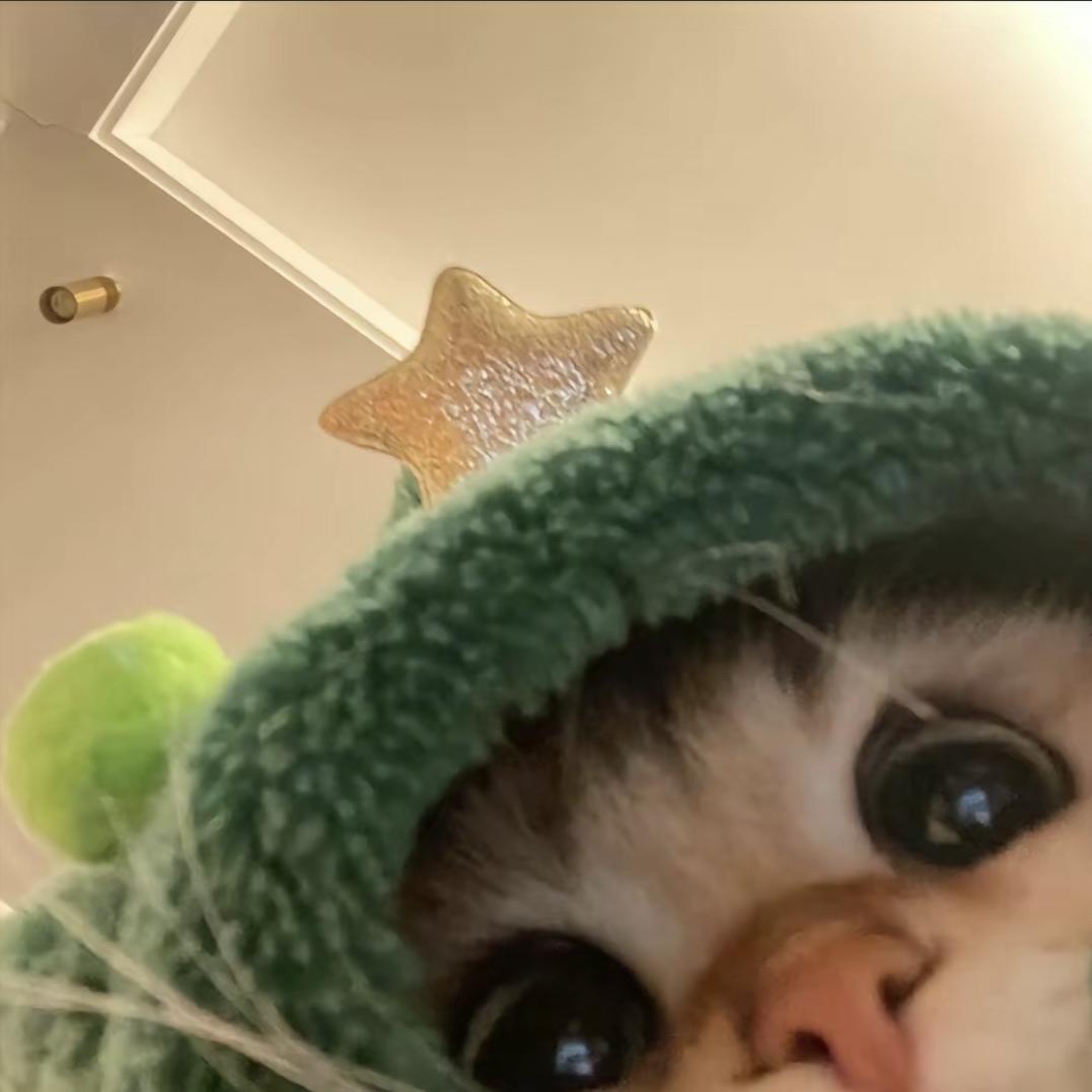 小七鞋业