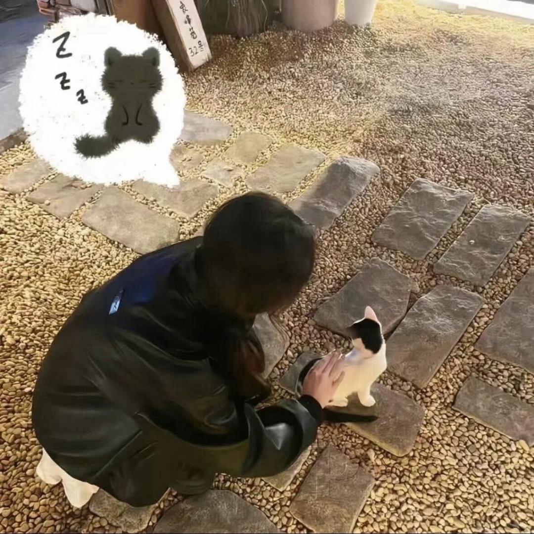 𝙭𝙞𝙖𝙤狗布丁🐾