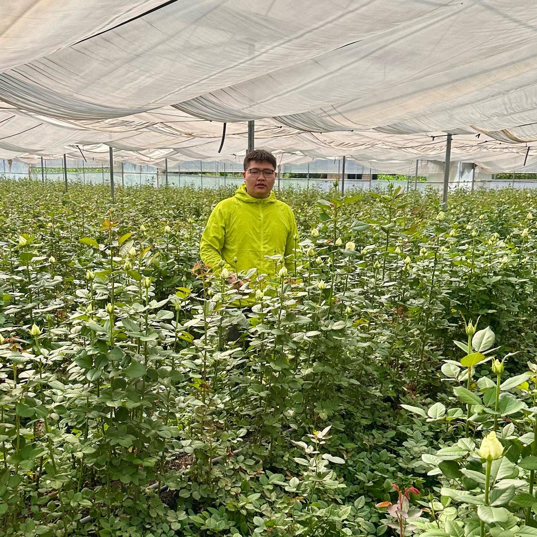 种玫瑰花的大江（梦开始的地方）