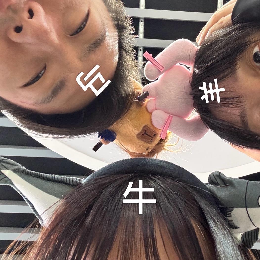 乐山你好你说好不好