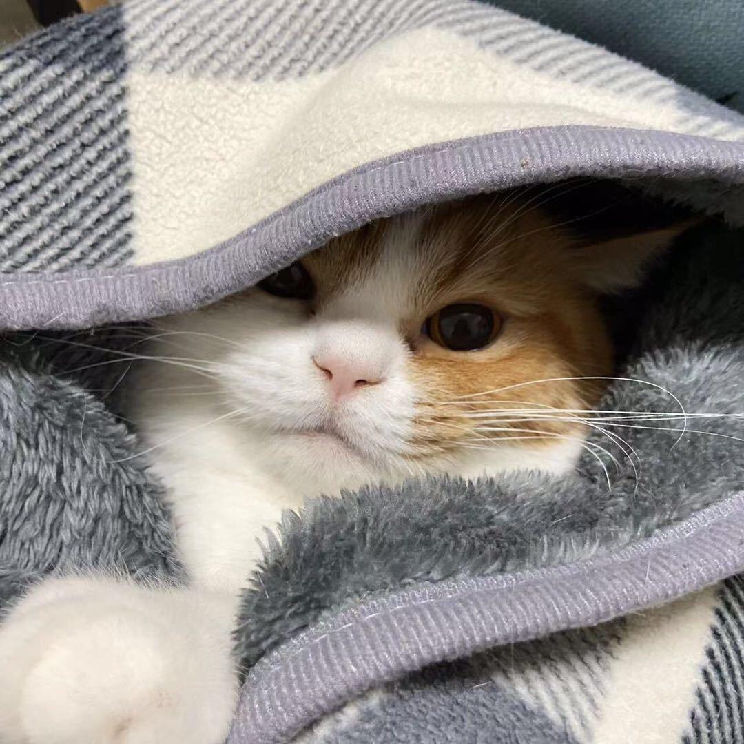 __瓶°