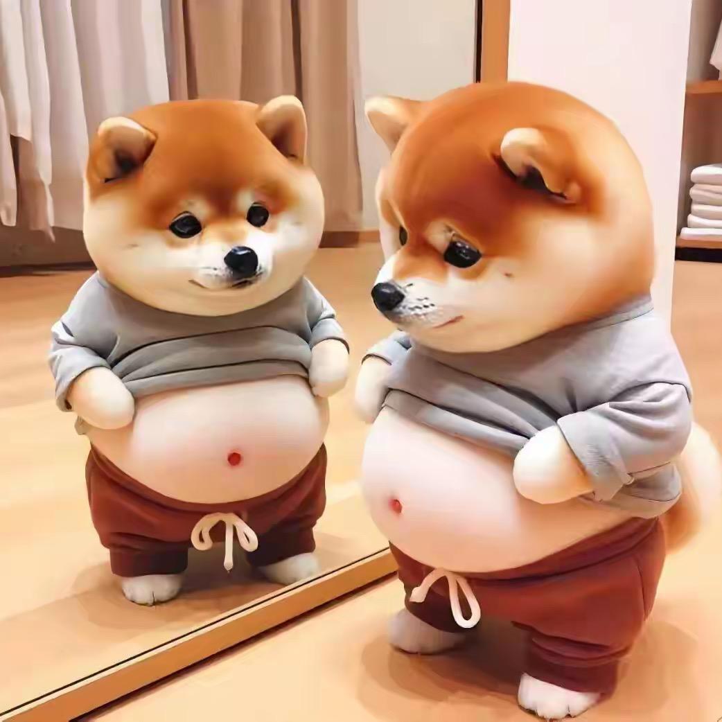 罗carry