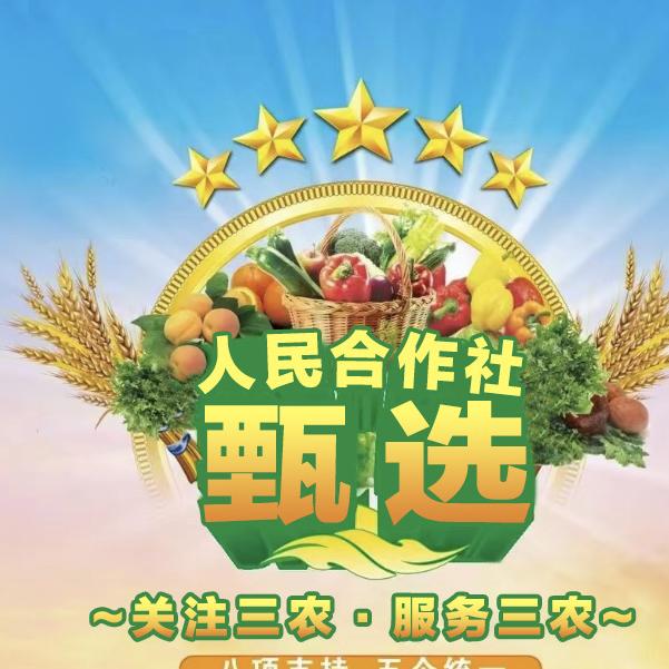 人民供销合作.直播间
