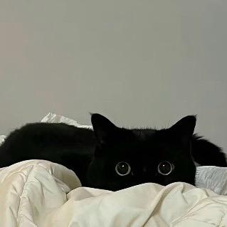 好像没有在一起