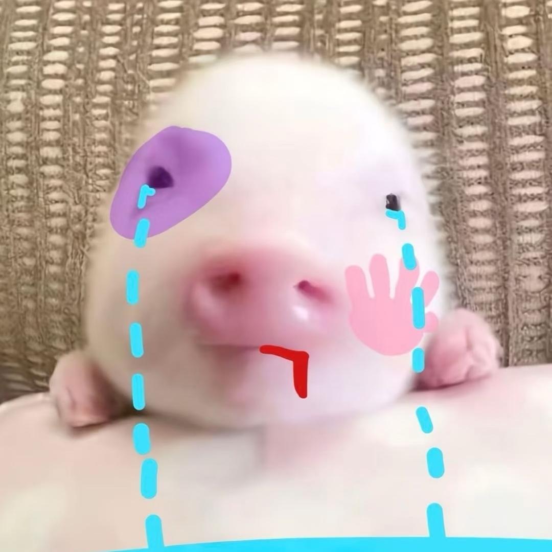 wxymtdkxvv