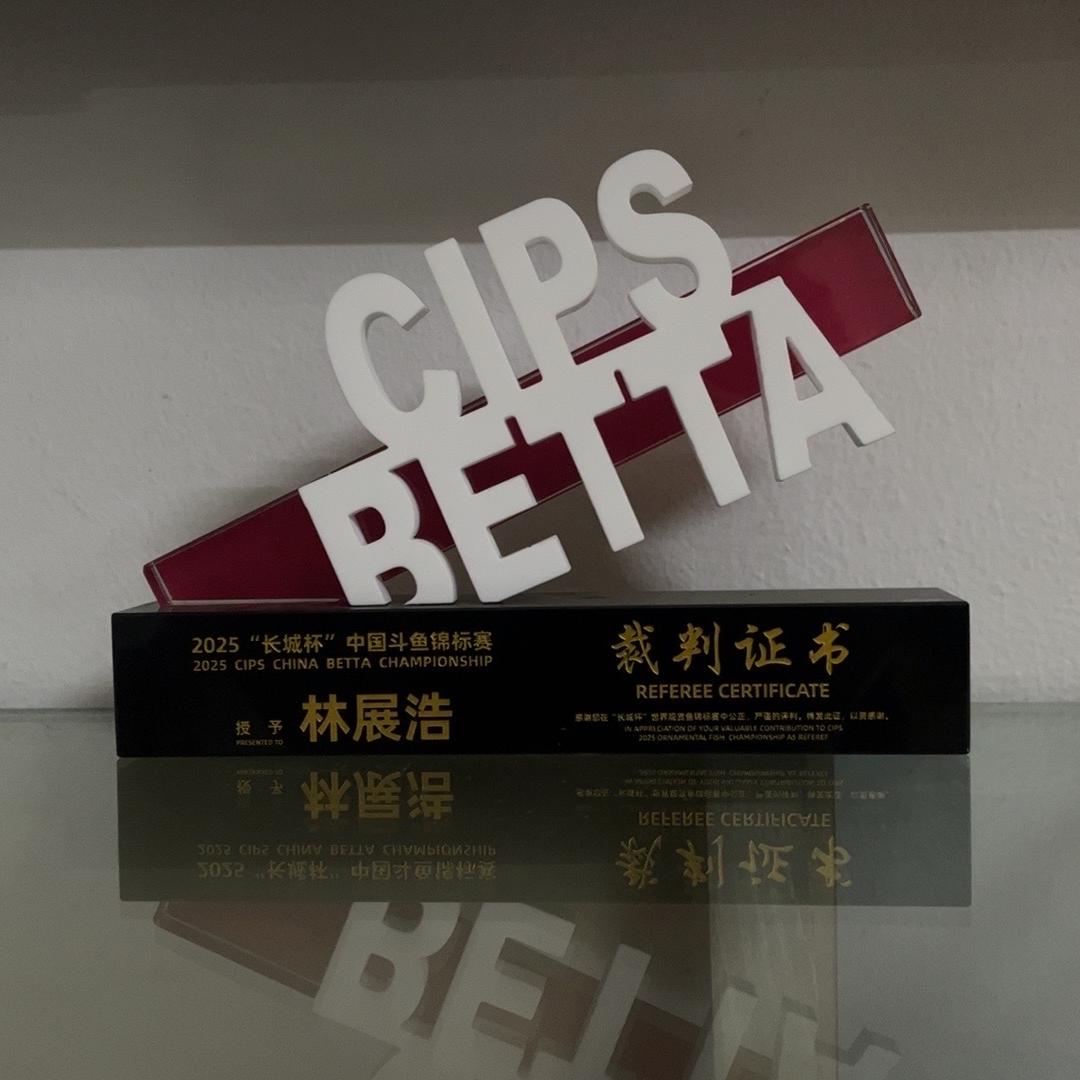 Fs水族（发烧斗鱼）