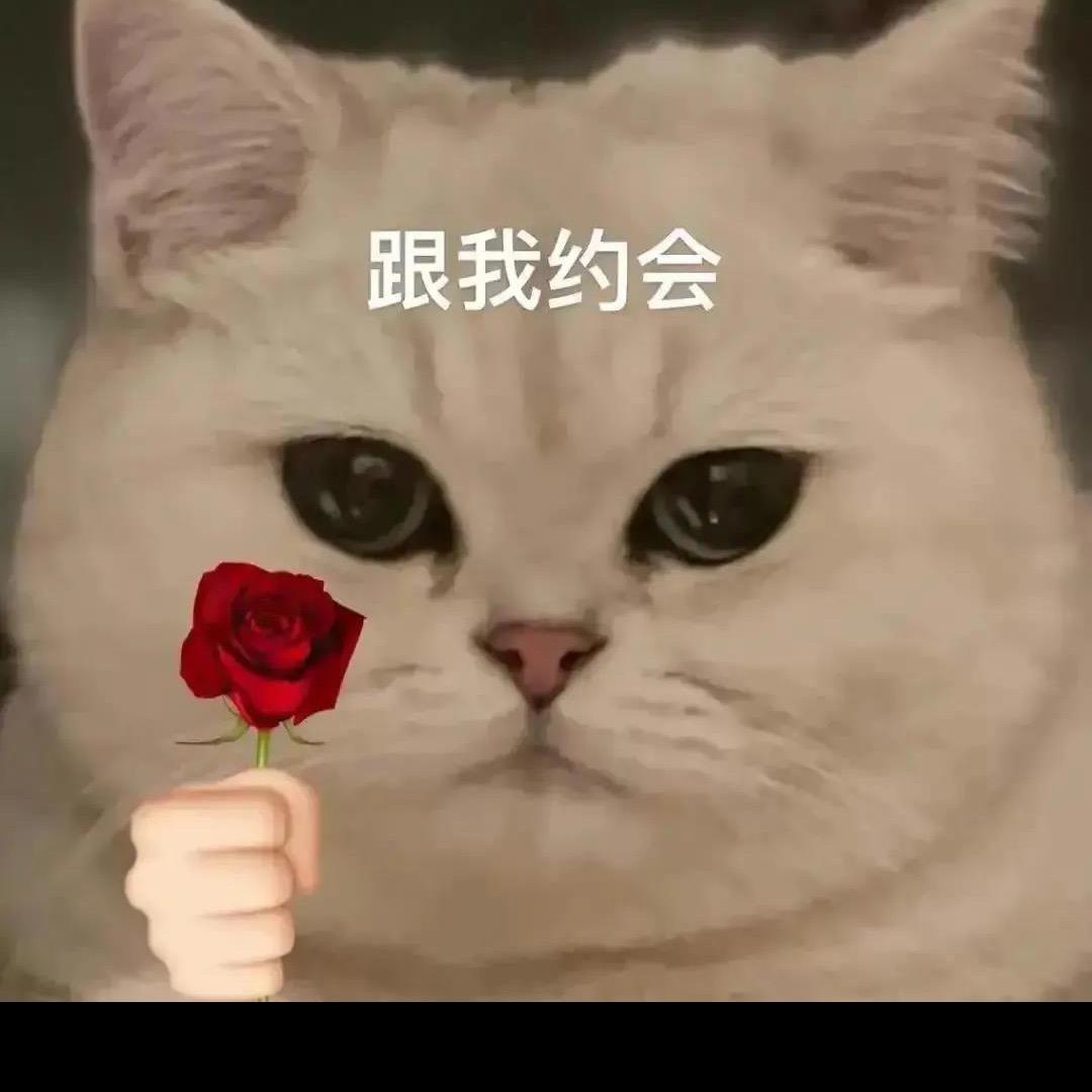 卓什么李李