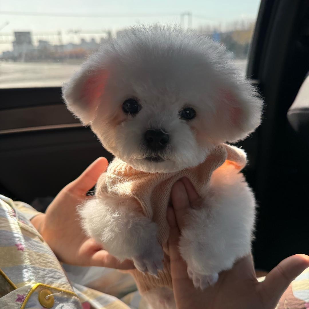 藏在冬天的故事♏️