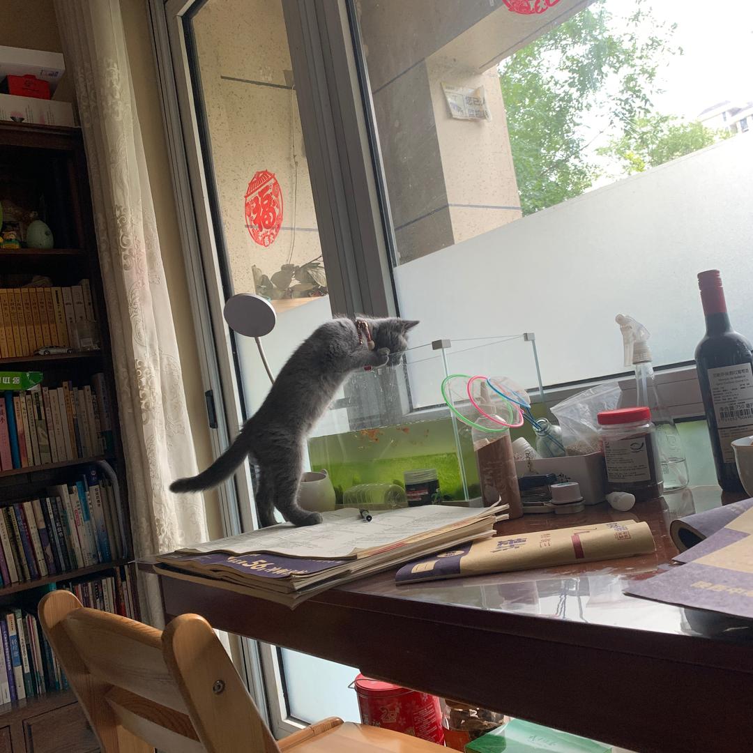 野有蔓草