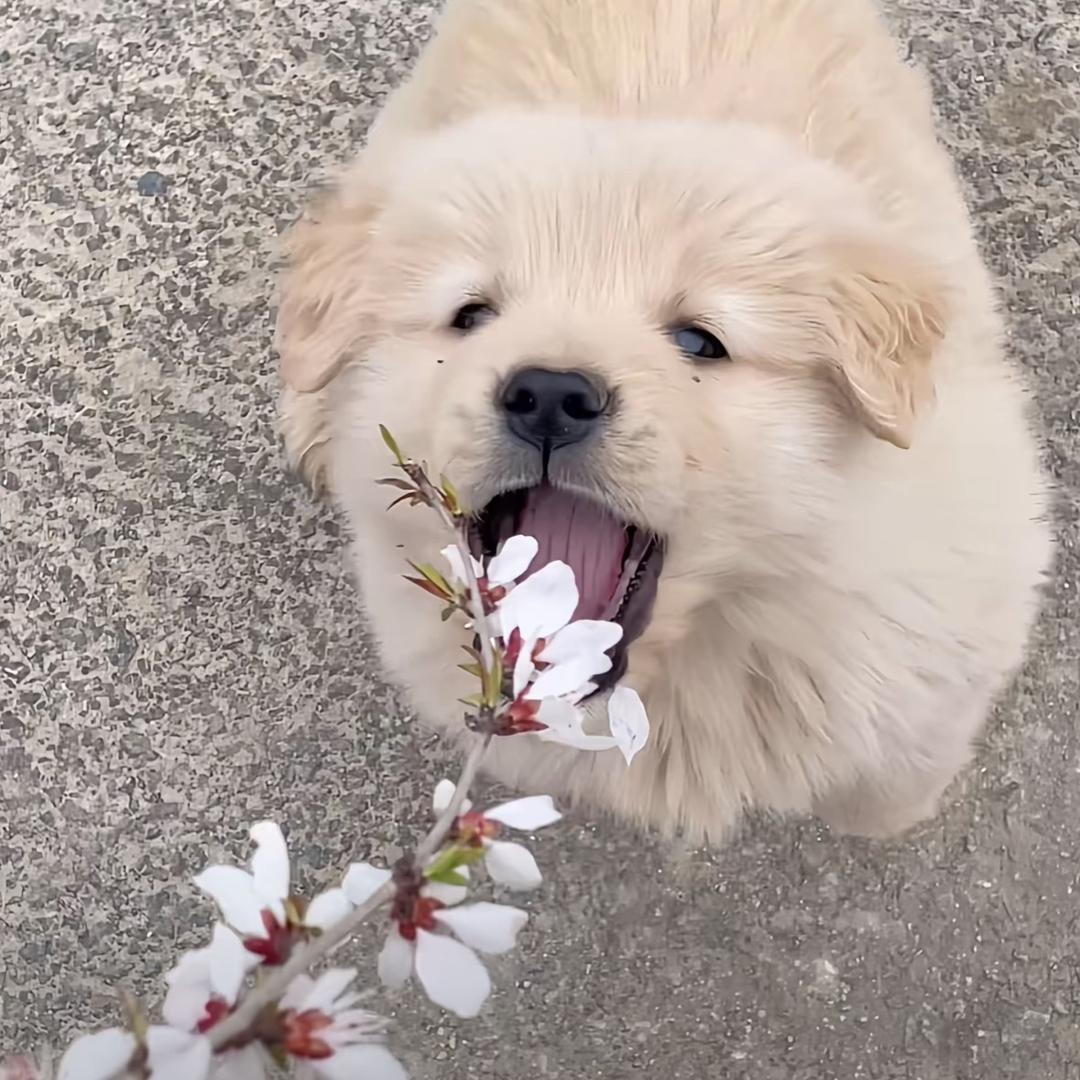 不爱接电话