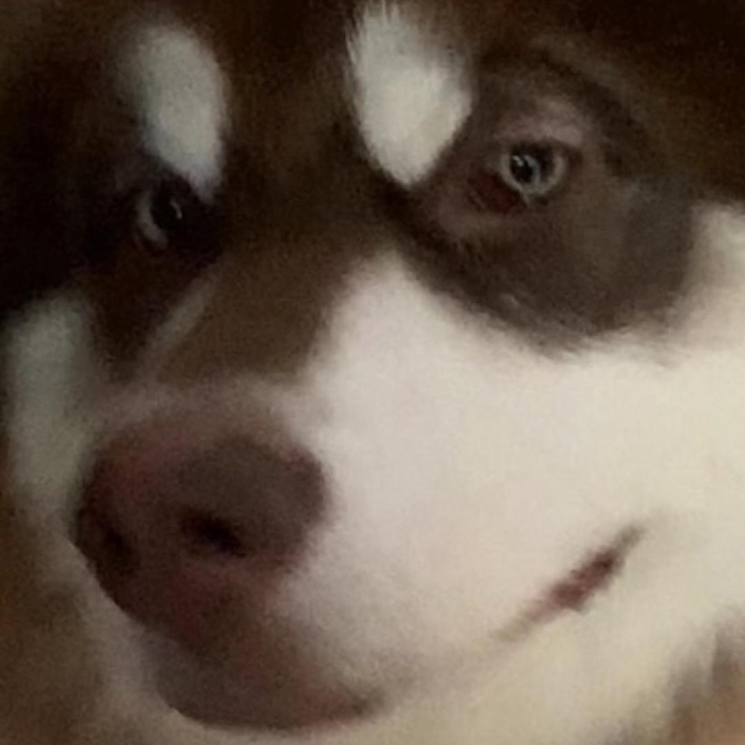 山雾