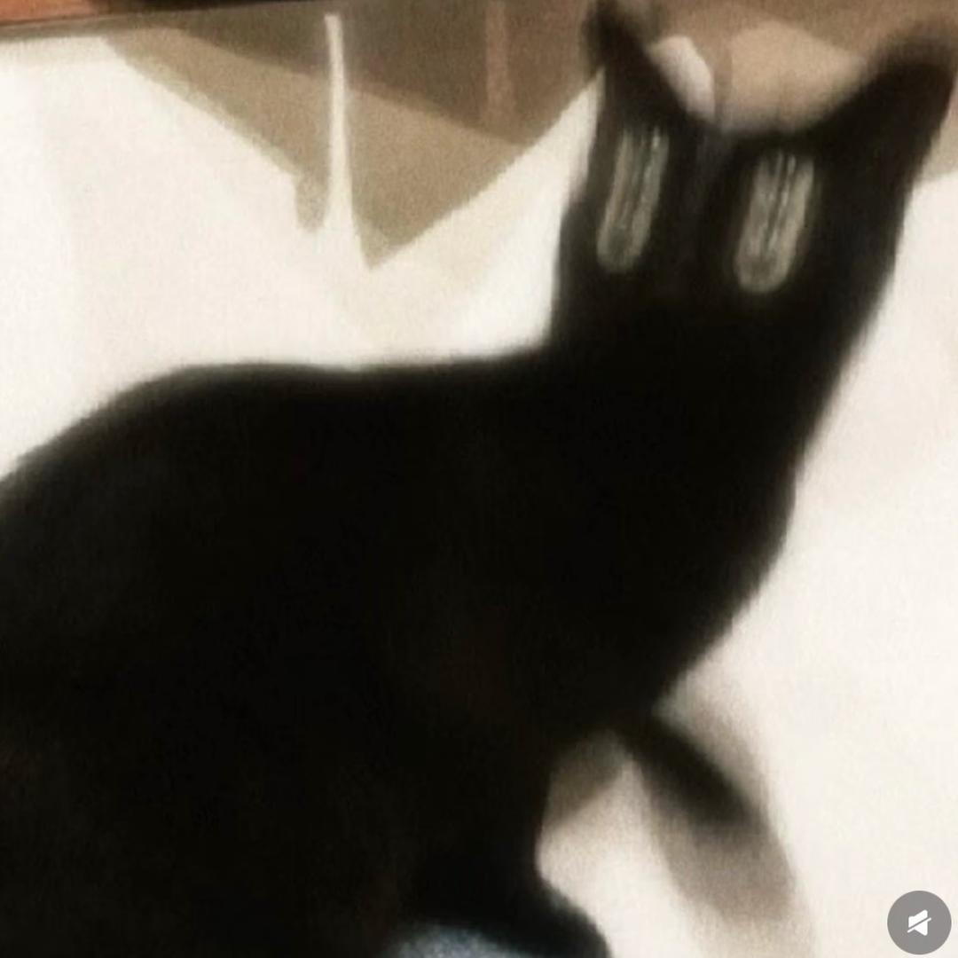 11111111