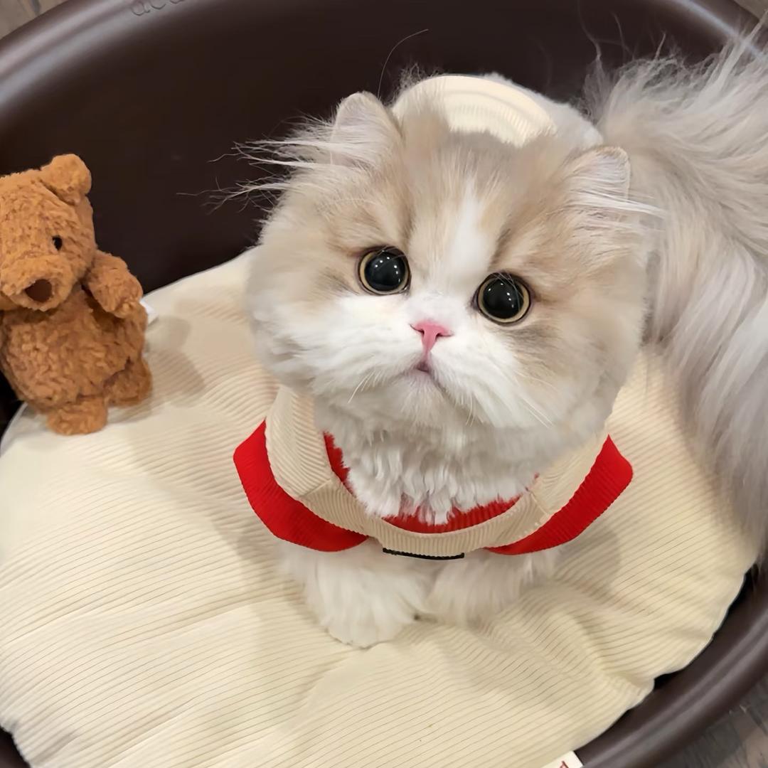 涂涂 .