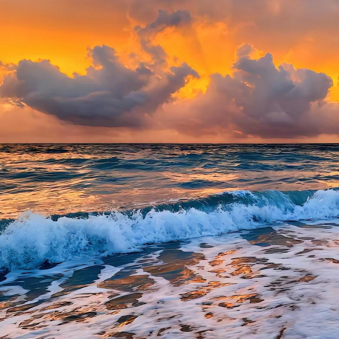 资溪县德国菲玛艺术涂料