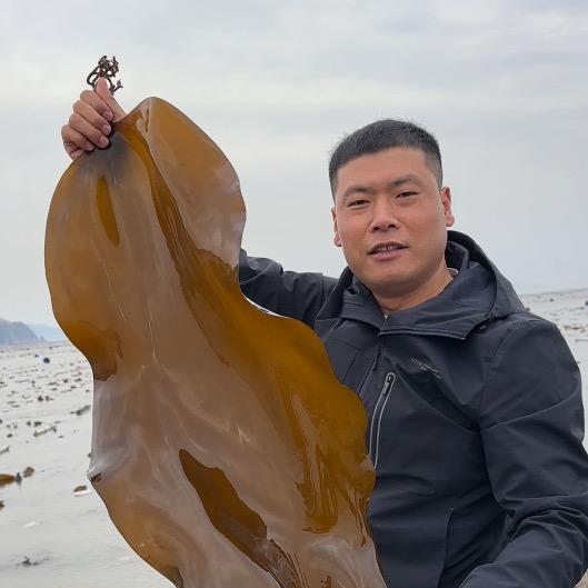 福建·中田海带头