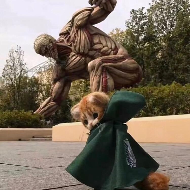 偏执的疯子