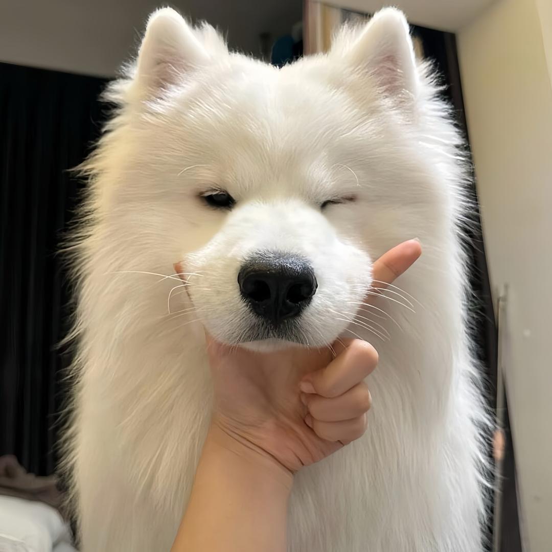 蜡笔小海