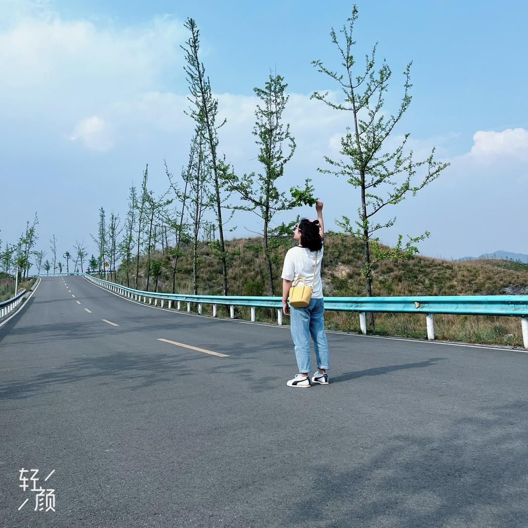 小杨桃