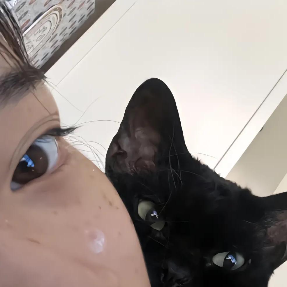 可可可可脆^