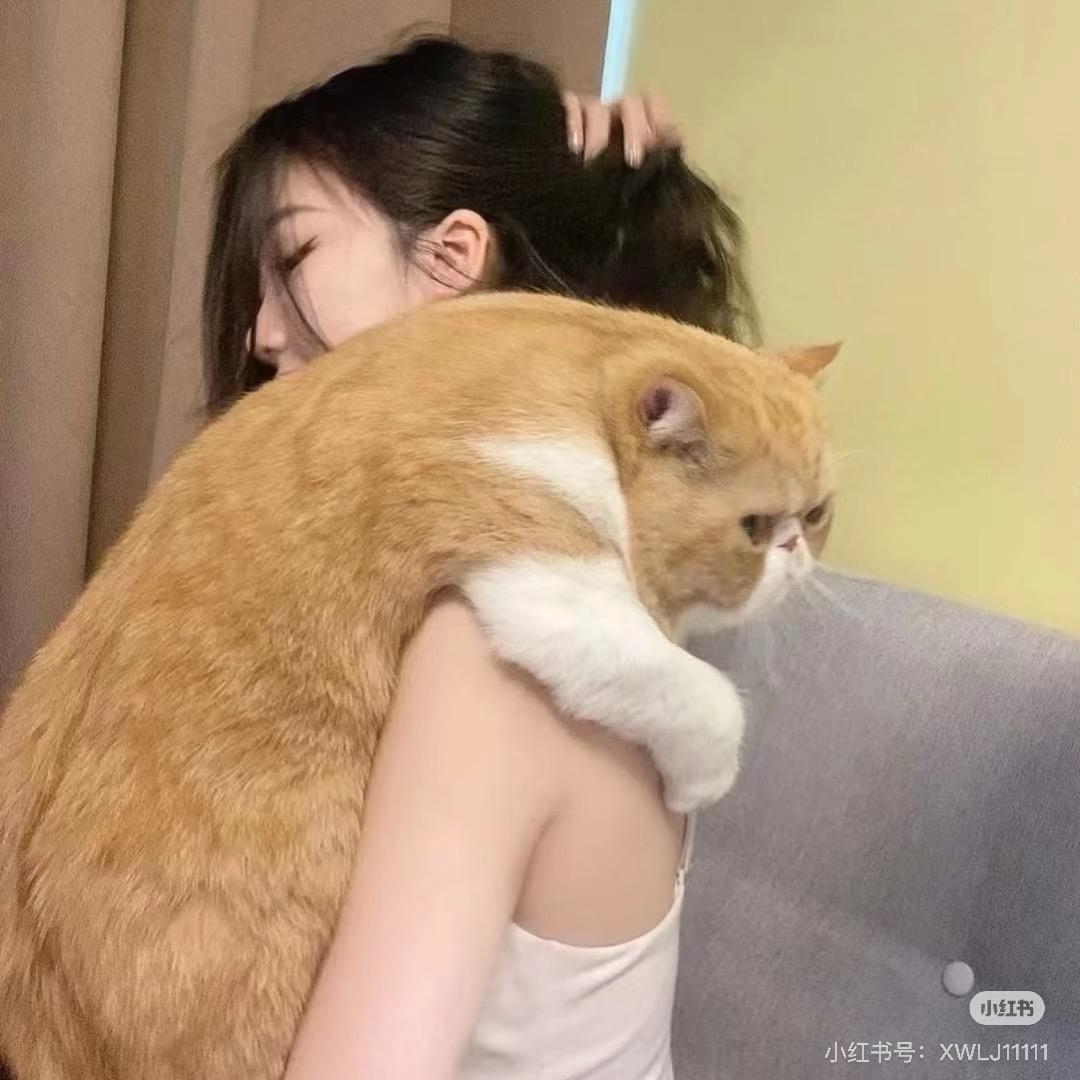 奶盐小饼