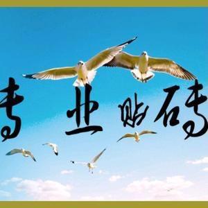贴砖杨师傅---青岛