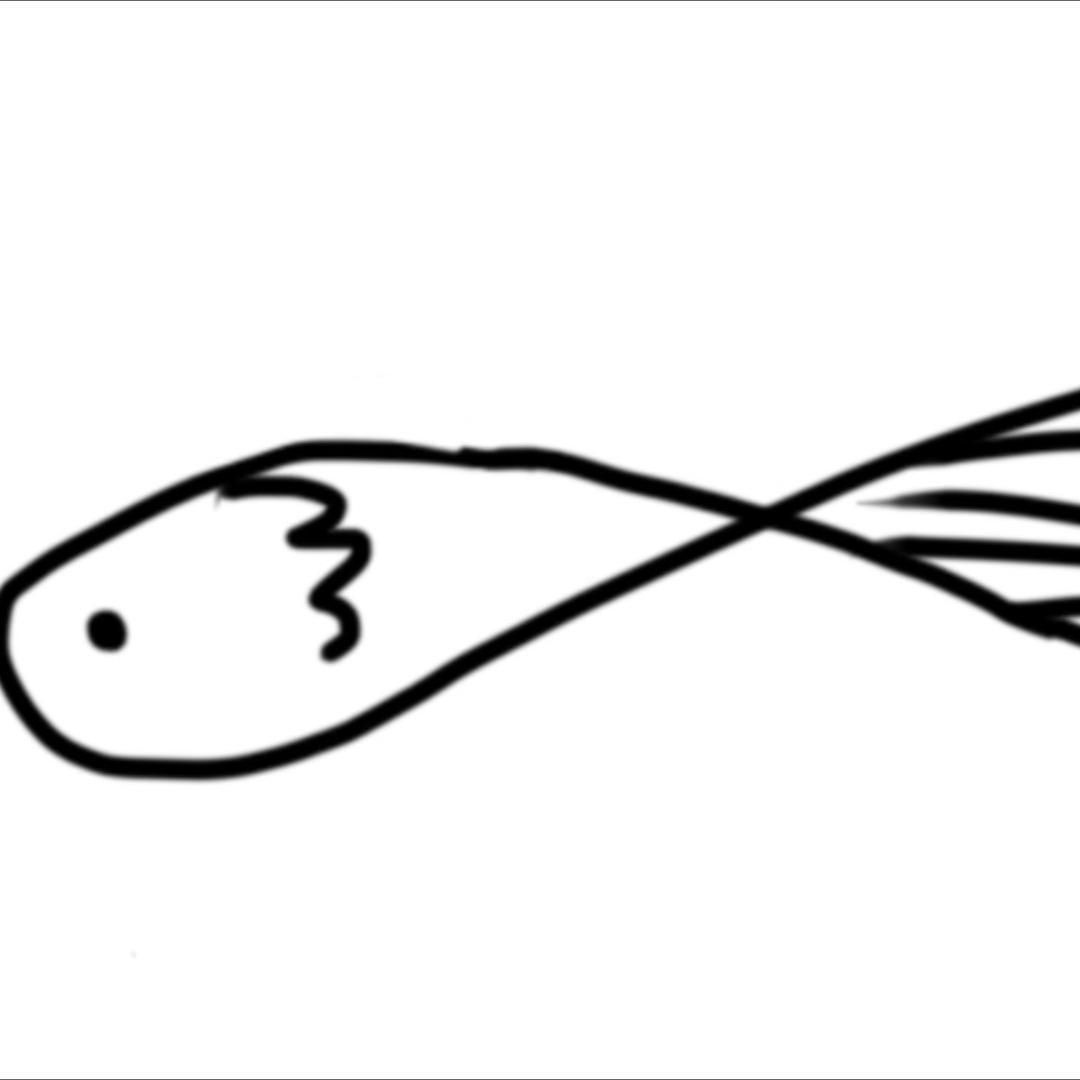 鱼的cp