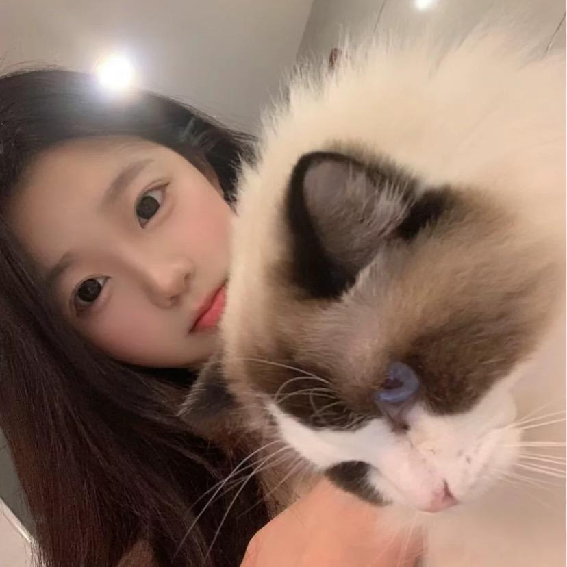 毛毛^🐟