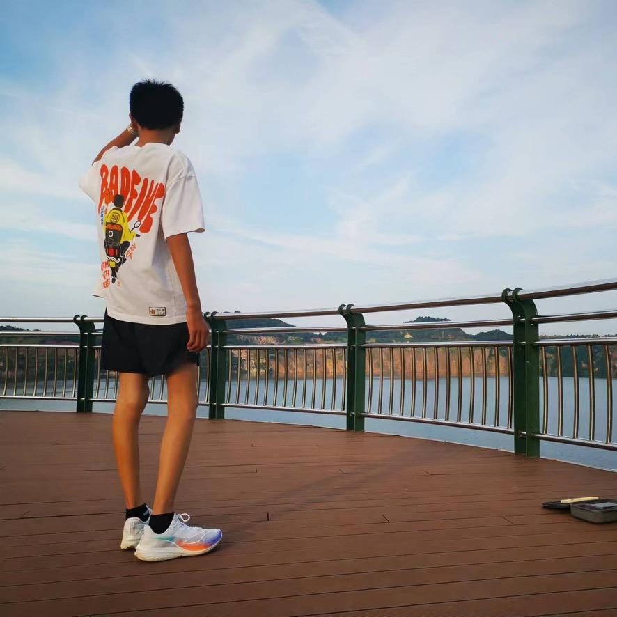 板栗味地球八级