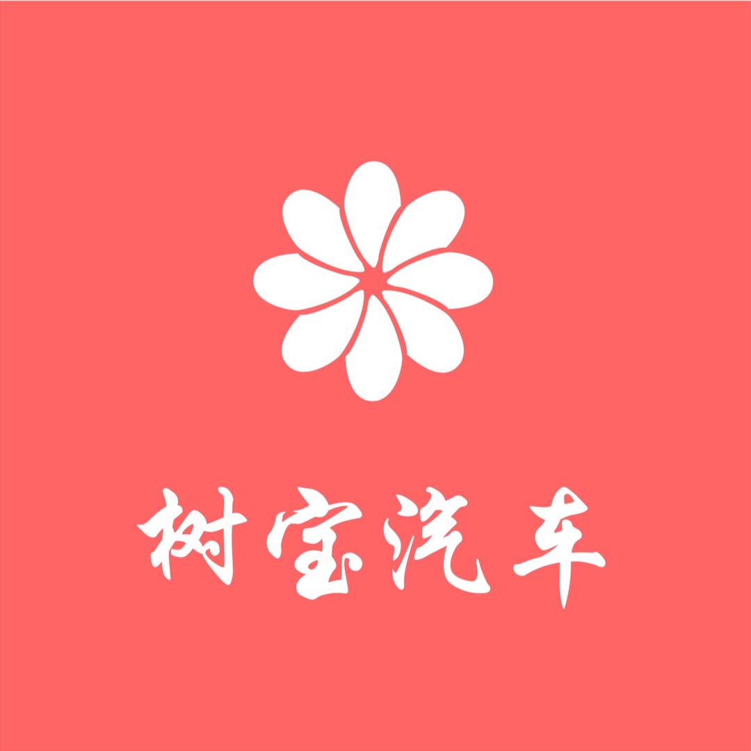 树宝汽车