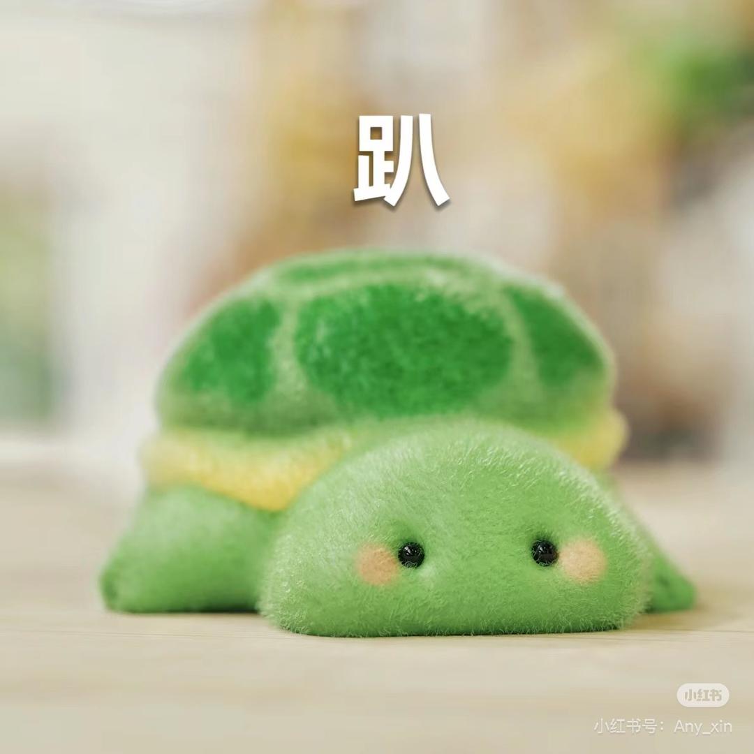 小荷花龟龟向前冲