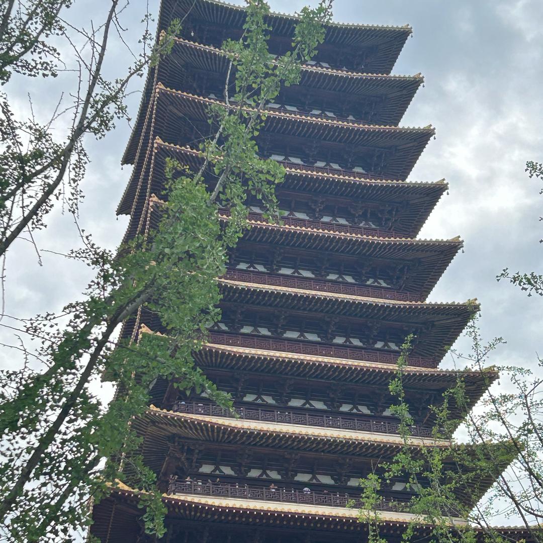 濮阳拓亨