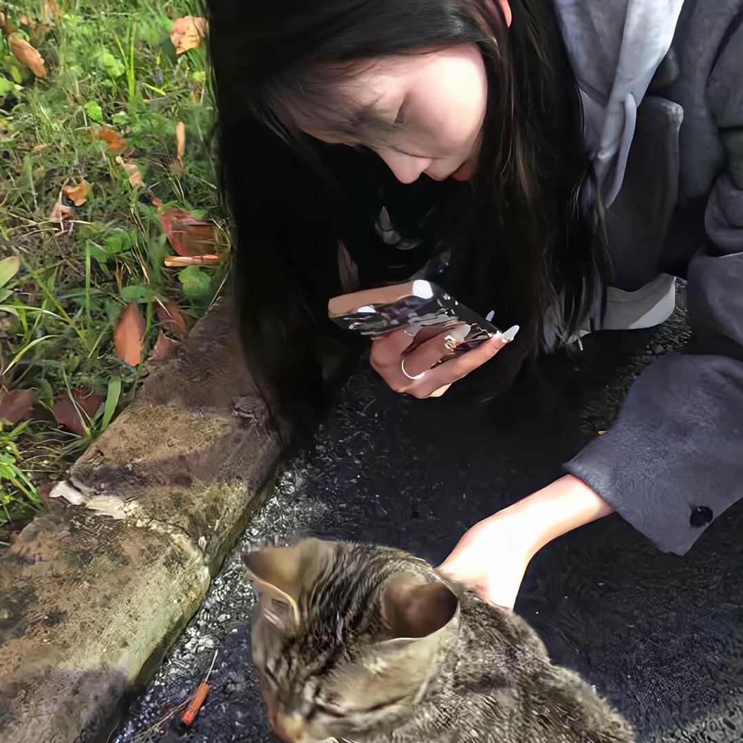 按不响的弦