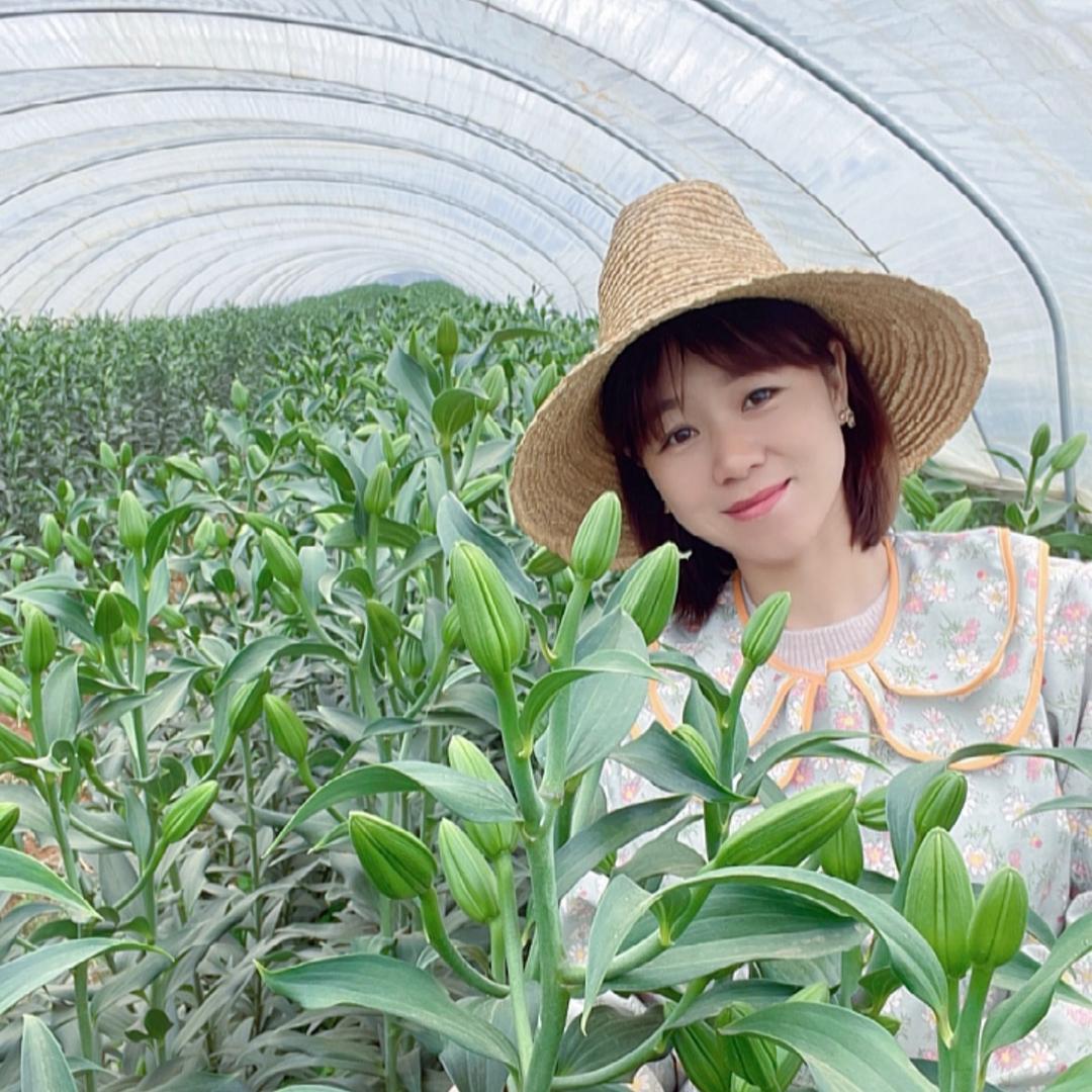斯丞百合（每天早上八点直播）
