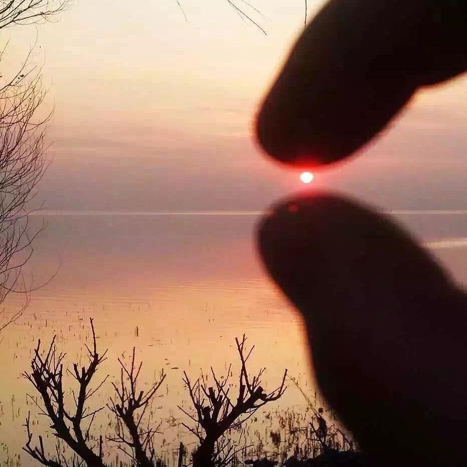 楚颜