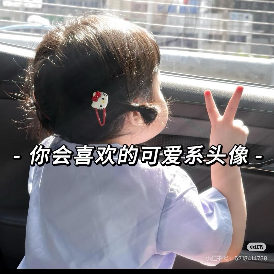 呆呆🌻