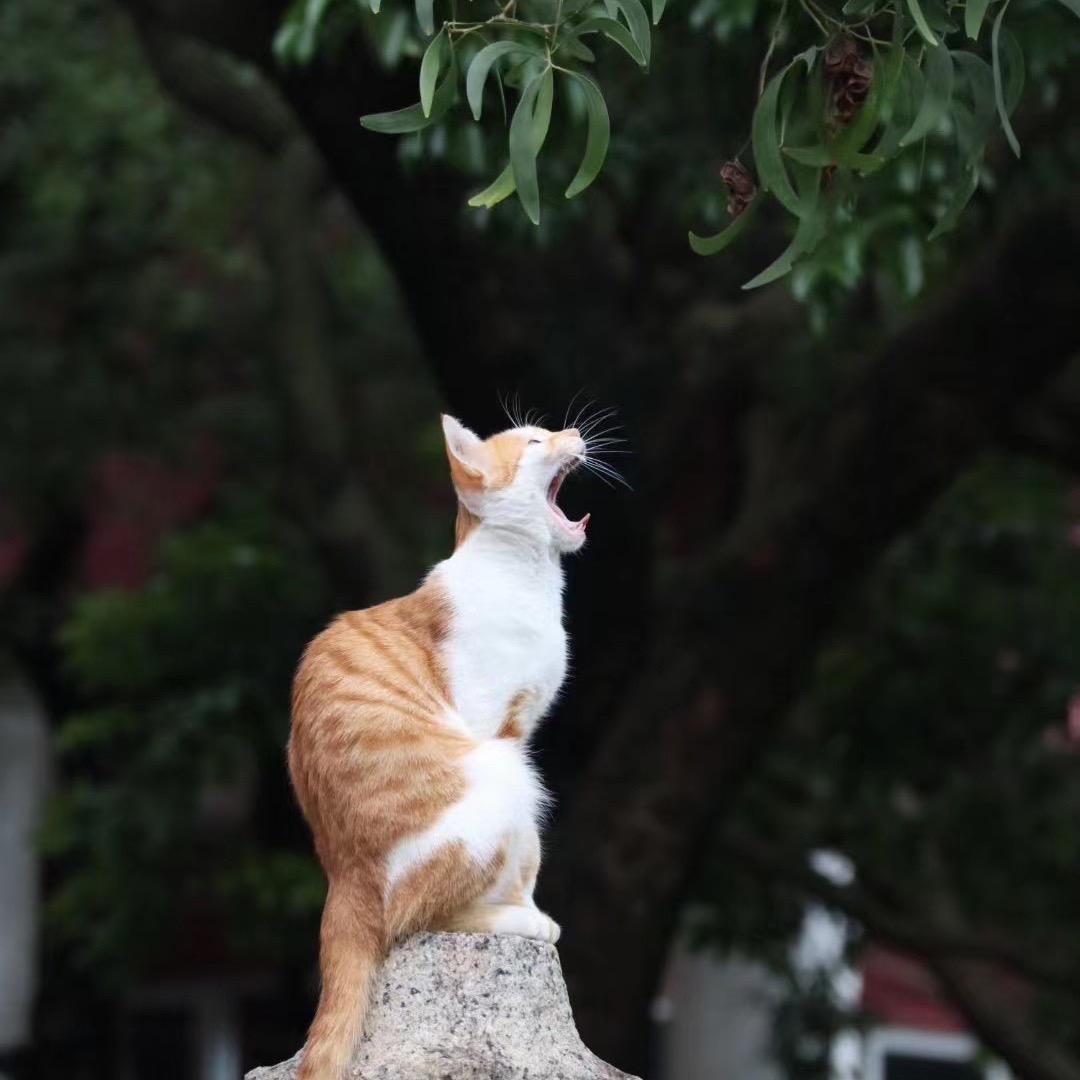 等等…