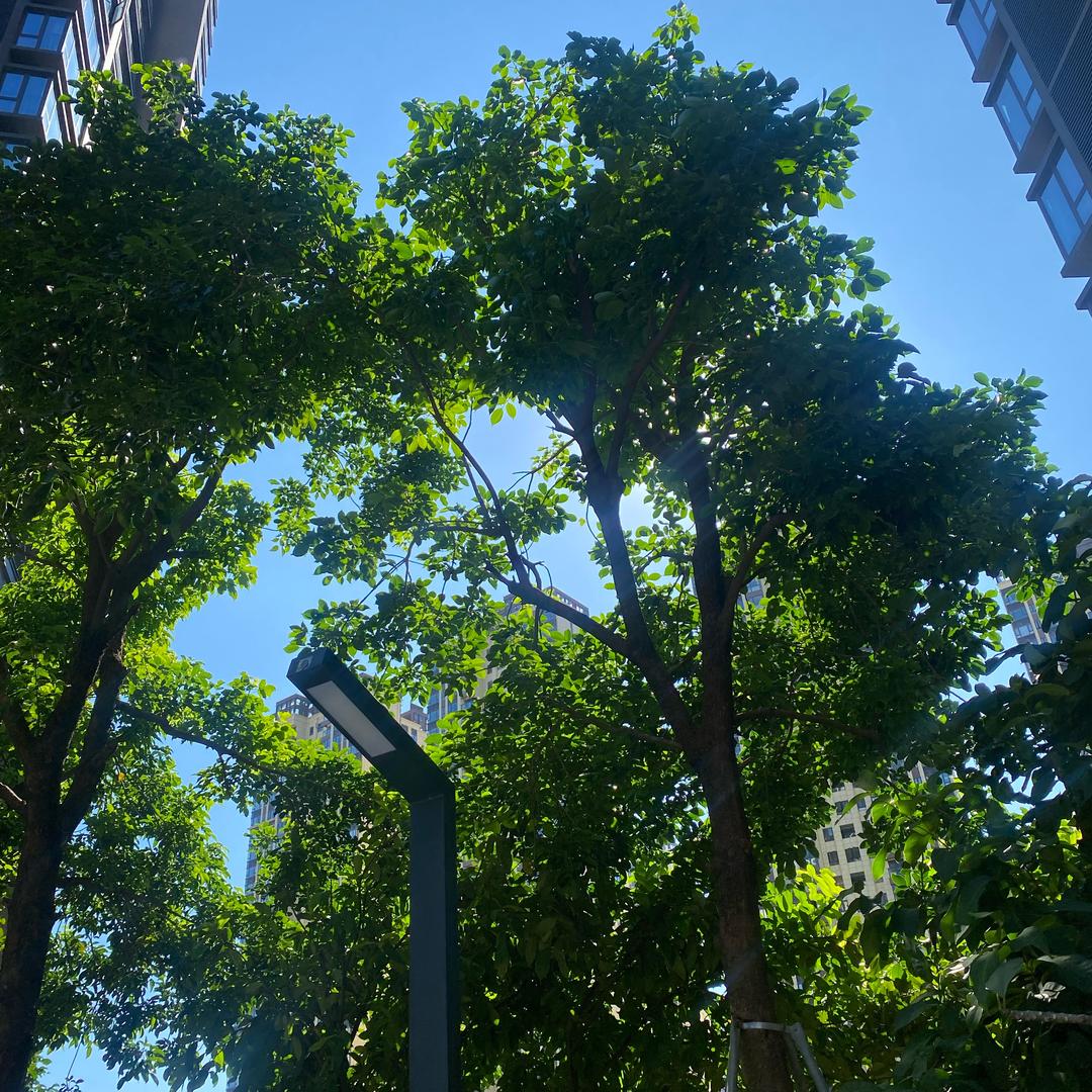 小助理（福利号）