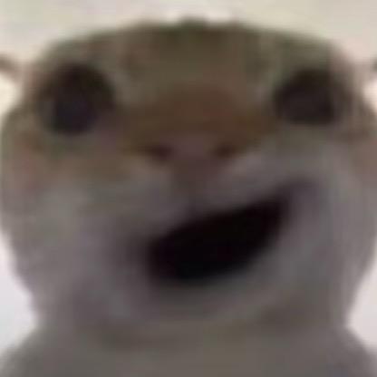 三角洲跑刀鼠鼠